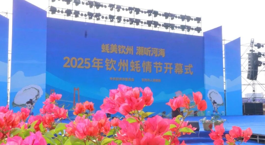 蚝美钦州 潮听河海 | 自贸开投集团闪耀钦州蚝情节 蚝美钦州 潮听河海 | 自贸开投集团闪耀钦州蚝情节