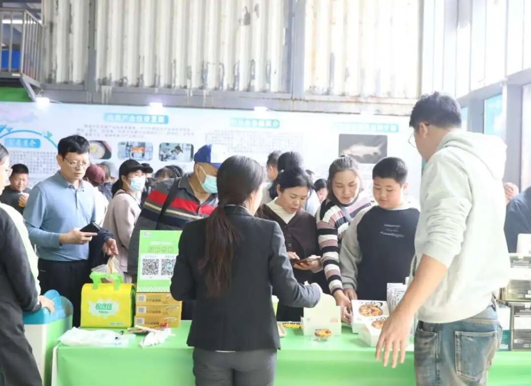 蚝美钦州 潮听河海 | 自贸开投集团闪耀钦州蚝情节 蚝美钦州 潮听河海 | 自贸开投集团闪耀钦州蚝情节