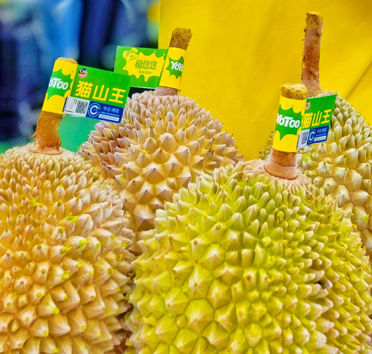 跨越山海,只为一口纯粹的“榴悠悠” 跨越山海,只为一口纯粹的“榴悠悠”