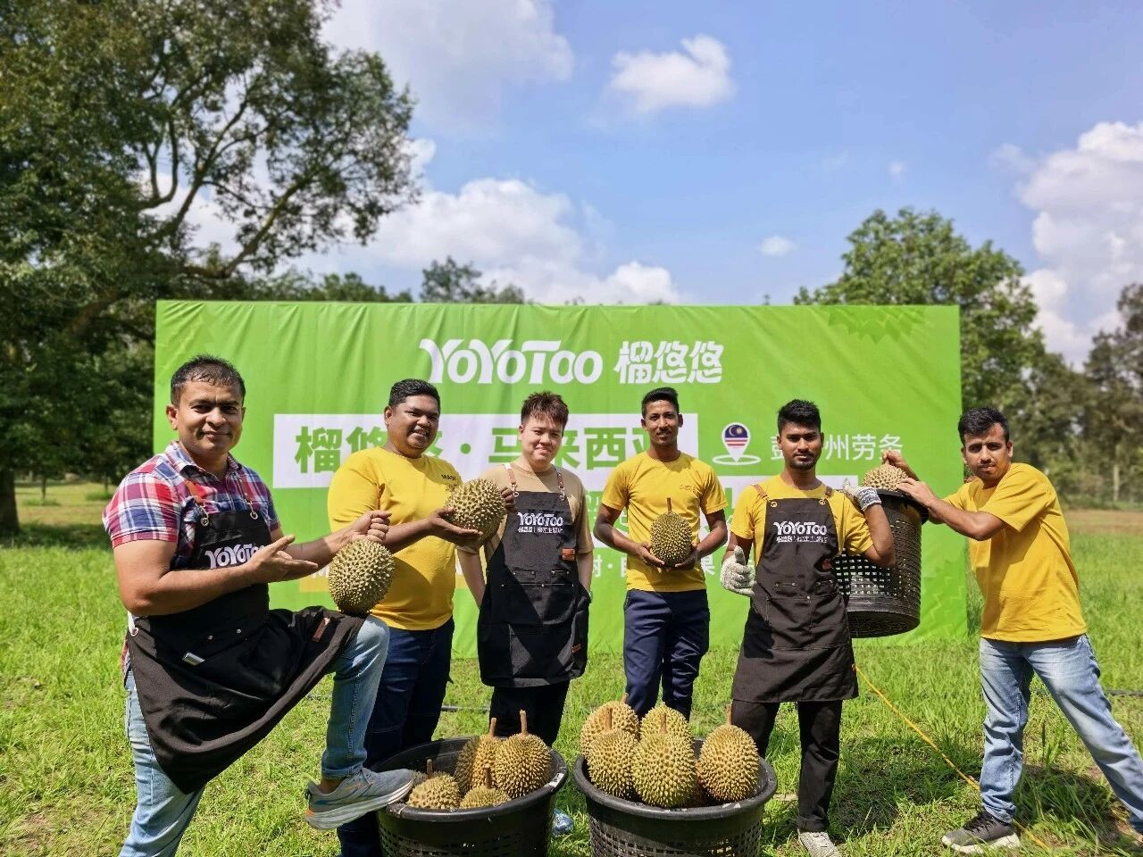 跨越山海,只为一口纯粹的“榴悠悠” 跨越山海,只为一口纯粹的“榴悠悠”