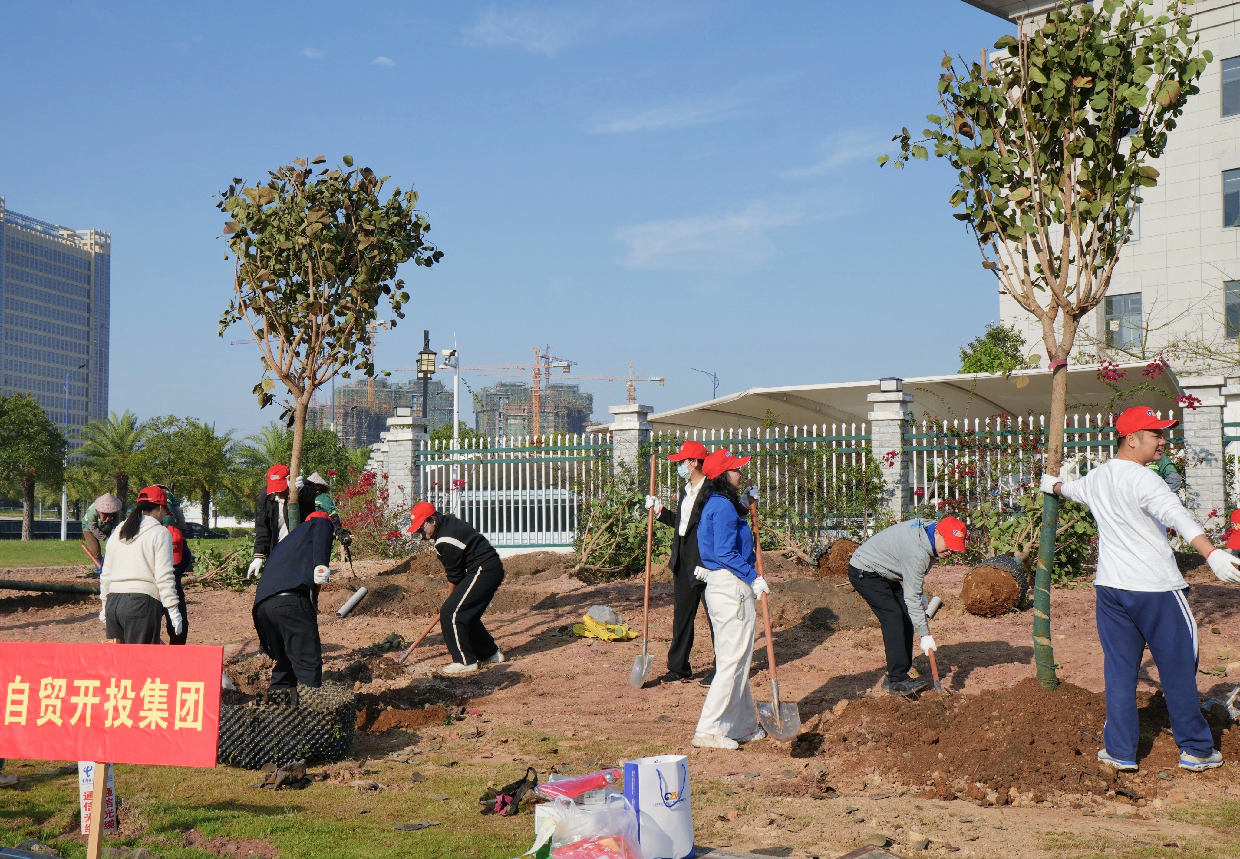 春种希望 共植未来 | 自贸开投集团参加2026年义务植树节活动