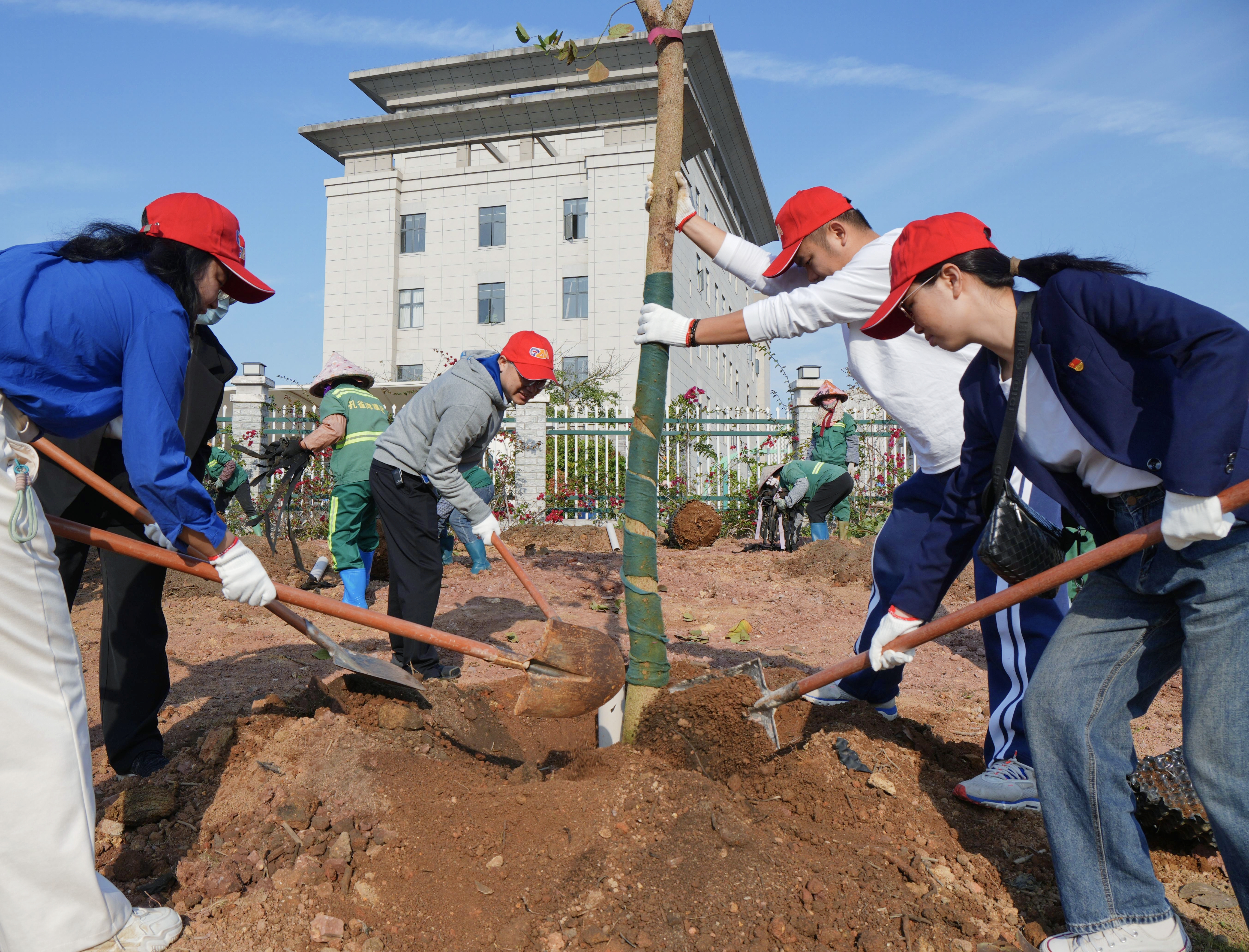 春种希望 共植未来 | 自贸开投集团参加2026年义务植树节活动