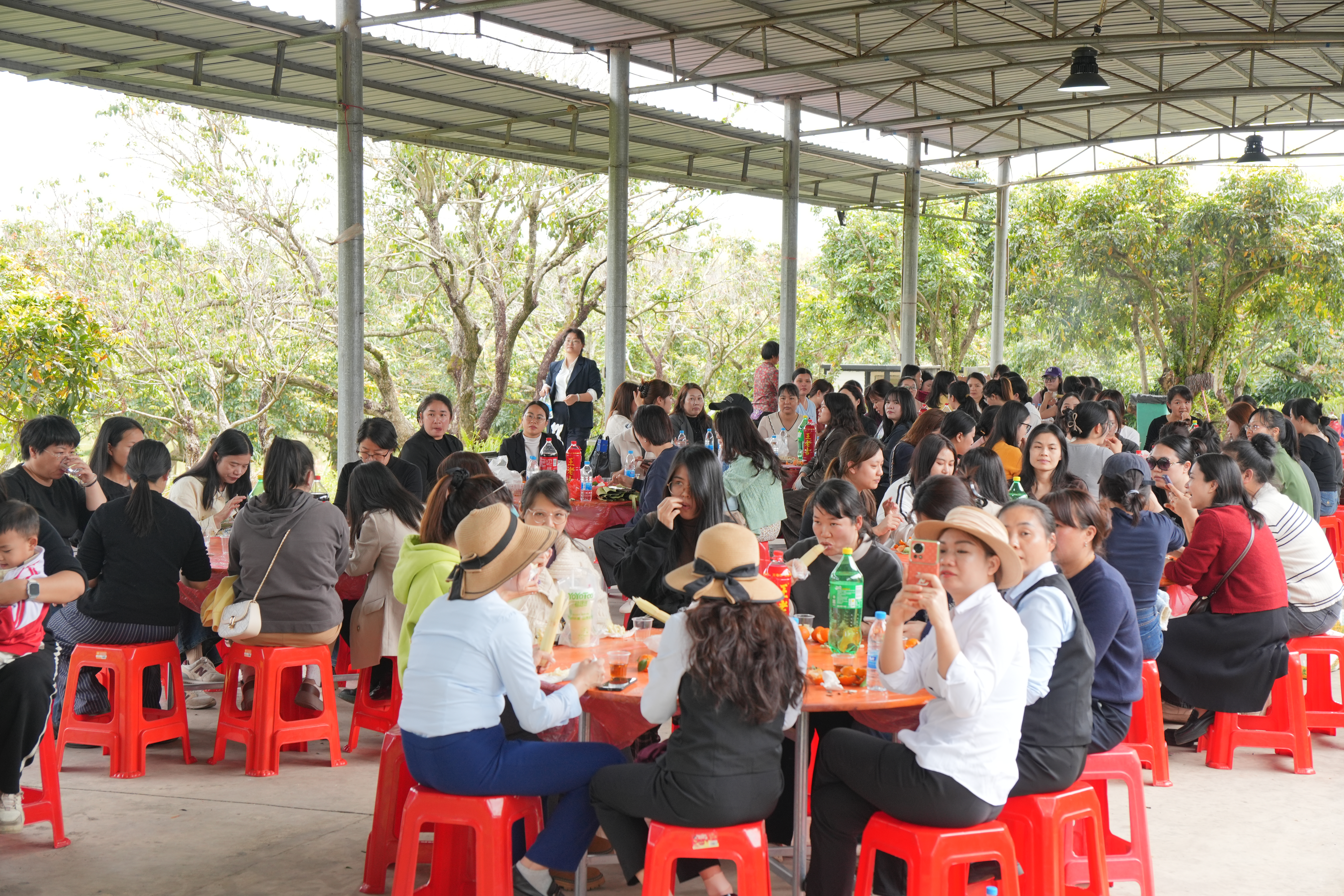 花开三月绽芳华 巾帼建功展风采 | 自贸开投集团开展“三八”国际妇女节主题活动