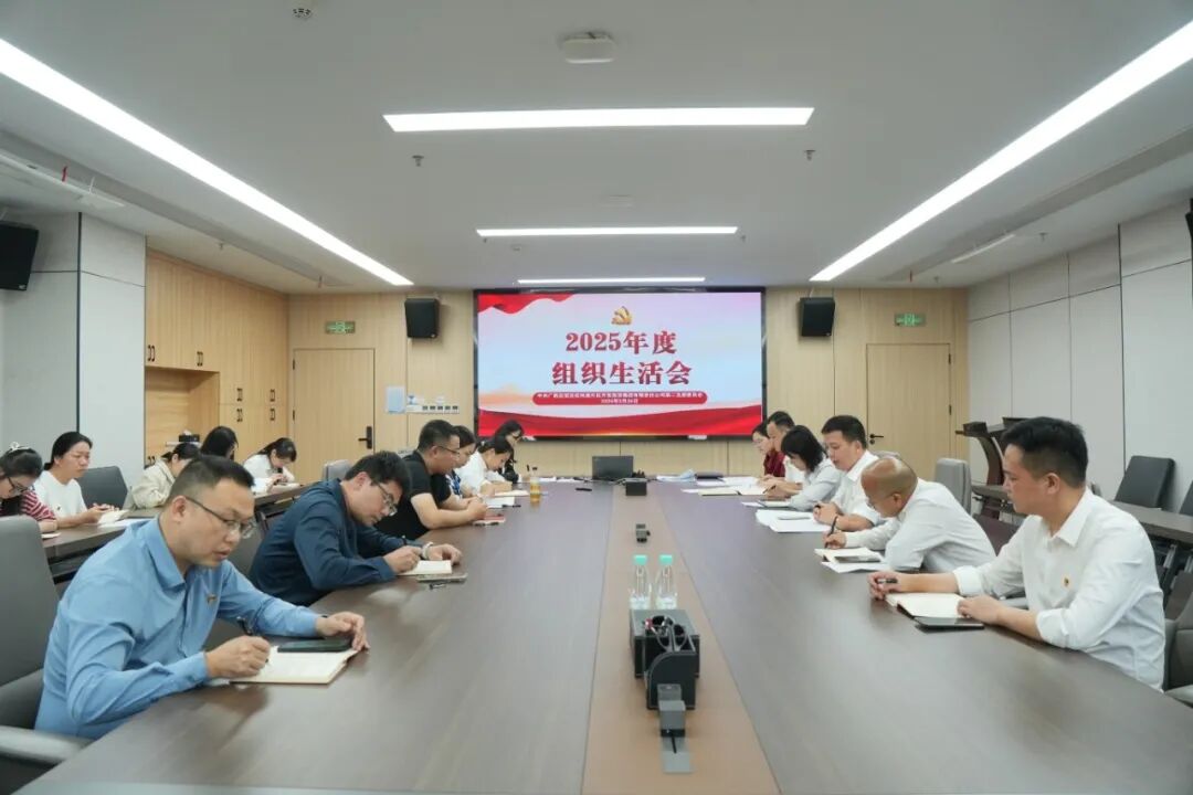 自贸开投集团各党支部高质量召开2025年度组织生活会 自贸开投集团各党支部高质量召开2025年度组织生活会