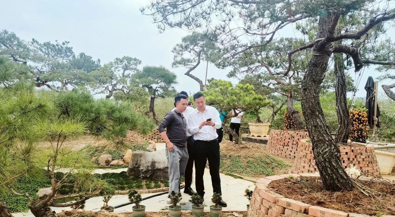 東昇云景｜双园甄选草木，国企匠造宋式美学园林
