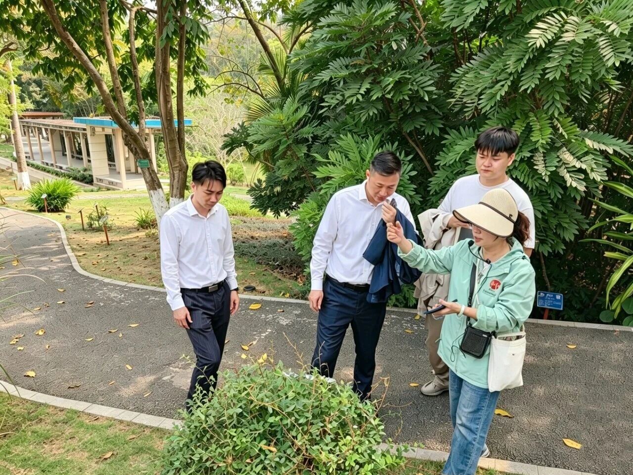 東昇云景｜双园甄选草木，国企匠造宋式美学园林