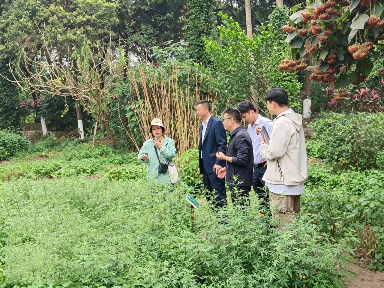東昇云景｜双园甄选草木，国企匠造宋式美学园林