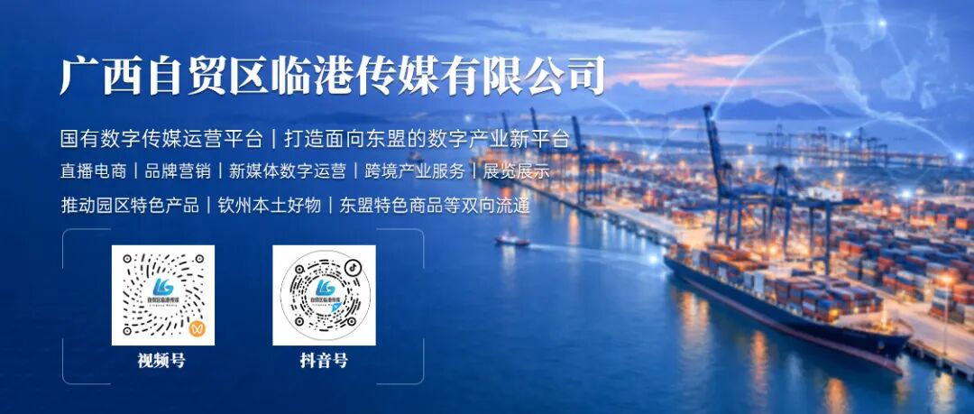 三大基地,六大业务:临港传媒公司的数字产业版图 三大基地,六大业务:临港传媒公司的数字产业版图